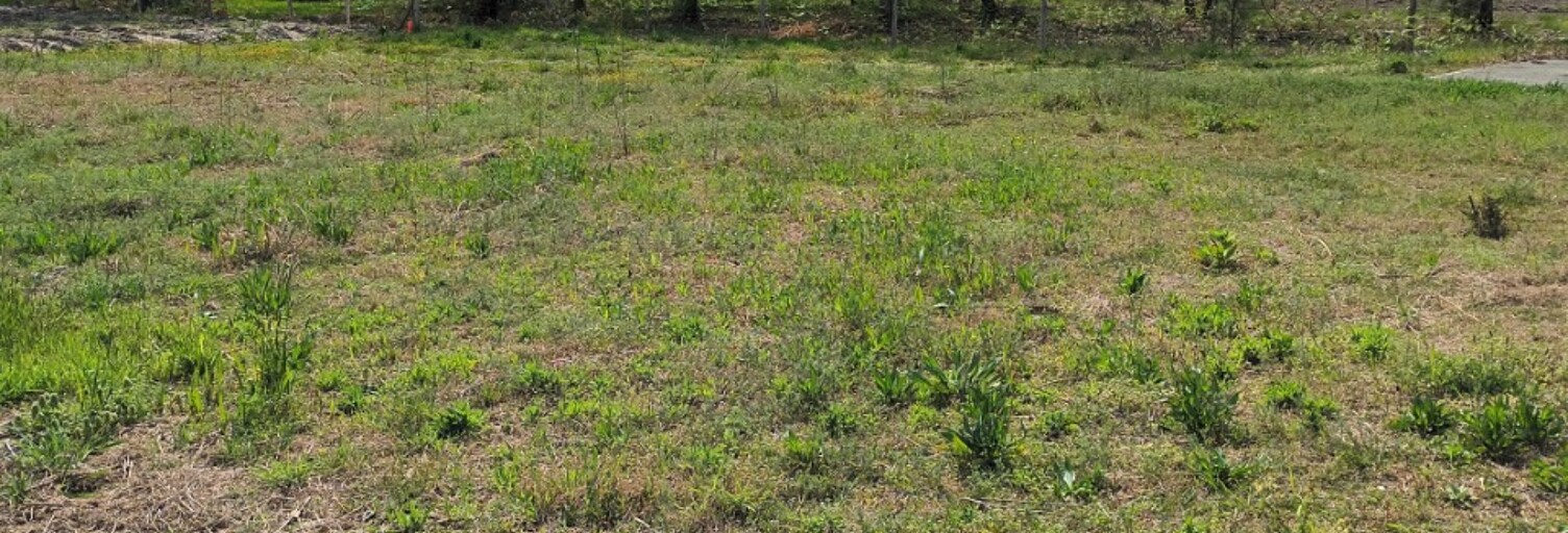 Terrain  528 m² à vendre à Parentis-en-Born (40160)