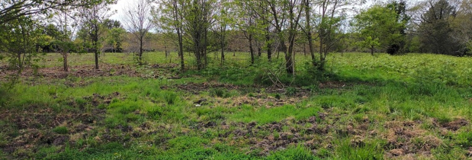 Terrain  498 m² à vendre à Aureilhan (40200)