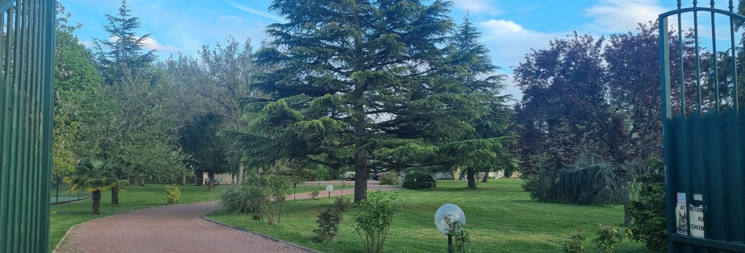 Maison 12 Pièces 297 m² à vendre à Fondettes (37230)