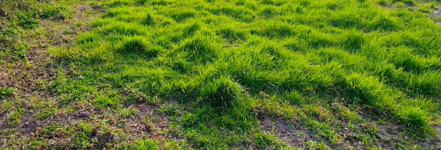 Terrain  600 m² à vendre à Gujan-Mestras (33470)