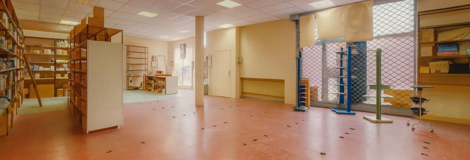 Appartement 4 Pièces 210 m² à vendre à Toulouse (31000)