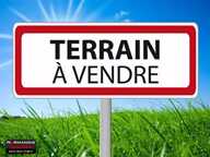 Terrain — photo 3