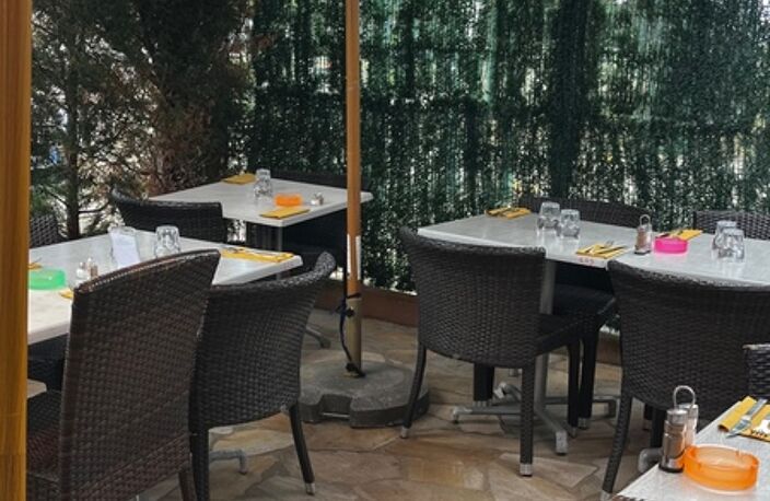 Restaurant- Terrasse- LYON 7EME  (69) — photo 2