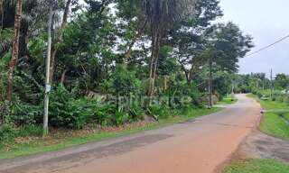 Terrain  3444 m² à vendre à Matoury (97351)