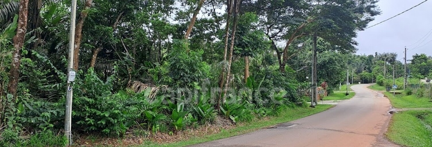 Terrain  3444 m² à vendre à Matoury (97351)