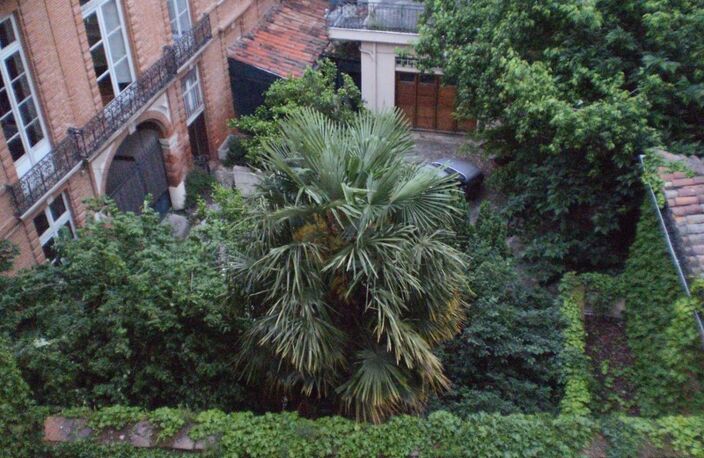 TOULOUSE HYPER CENTRE Appartement T3 67 M² — photo 2