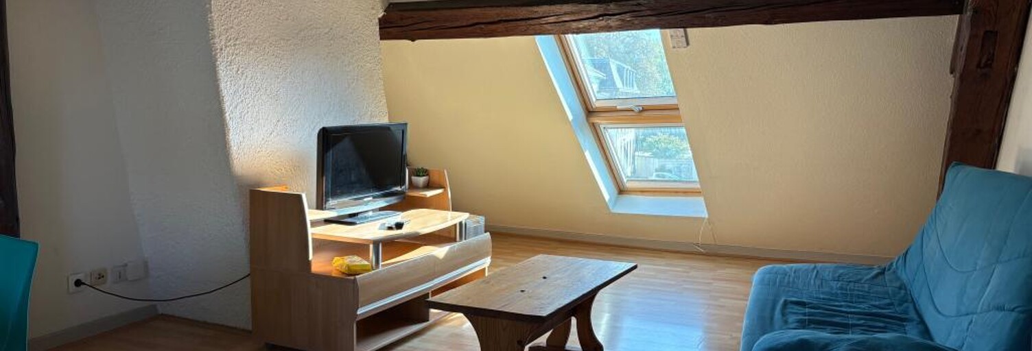 Appartement 2 Pièces 35 m² à louer à Sarrebourg (57400)