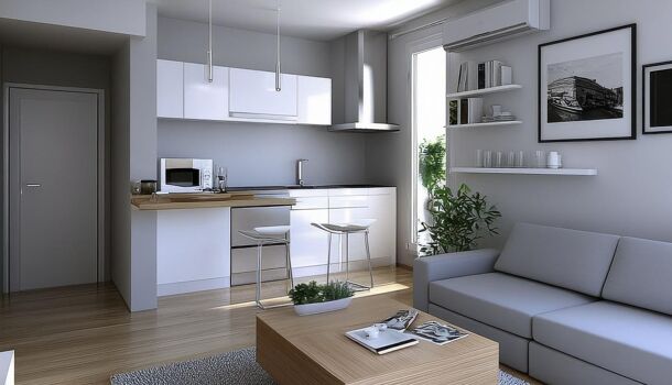 Appartement 2 pièces  à vendre Montévrain 77144