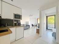 Appartement À Vendre T2 33M2 VUE MER — photo 4