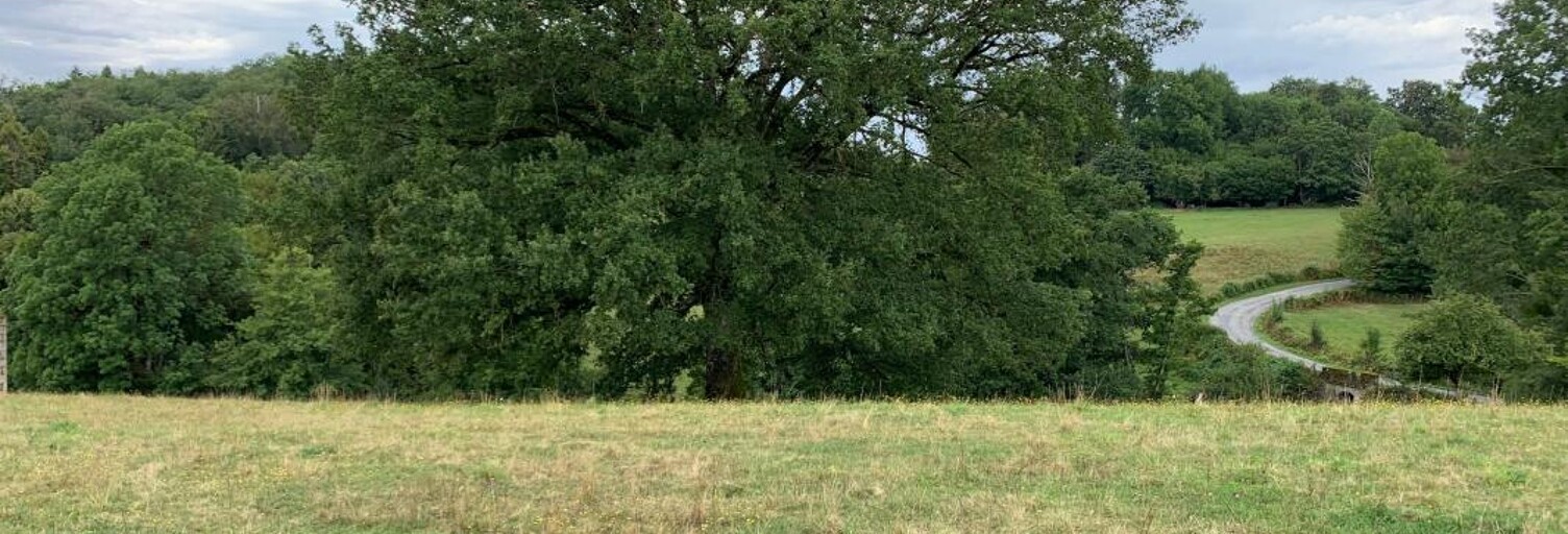 Terrain  1268 m² à vendre à Boisseuil (87220)