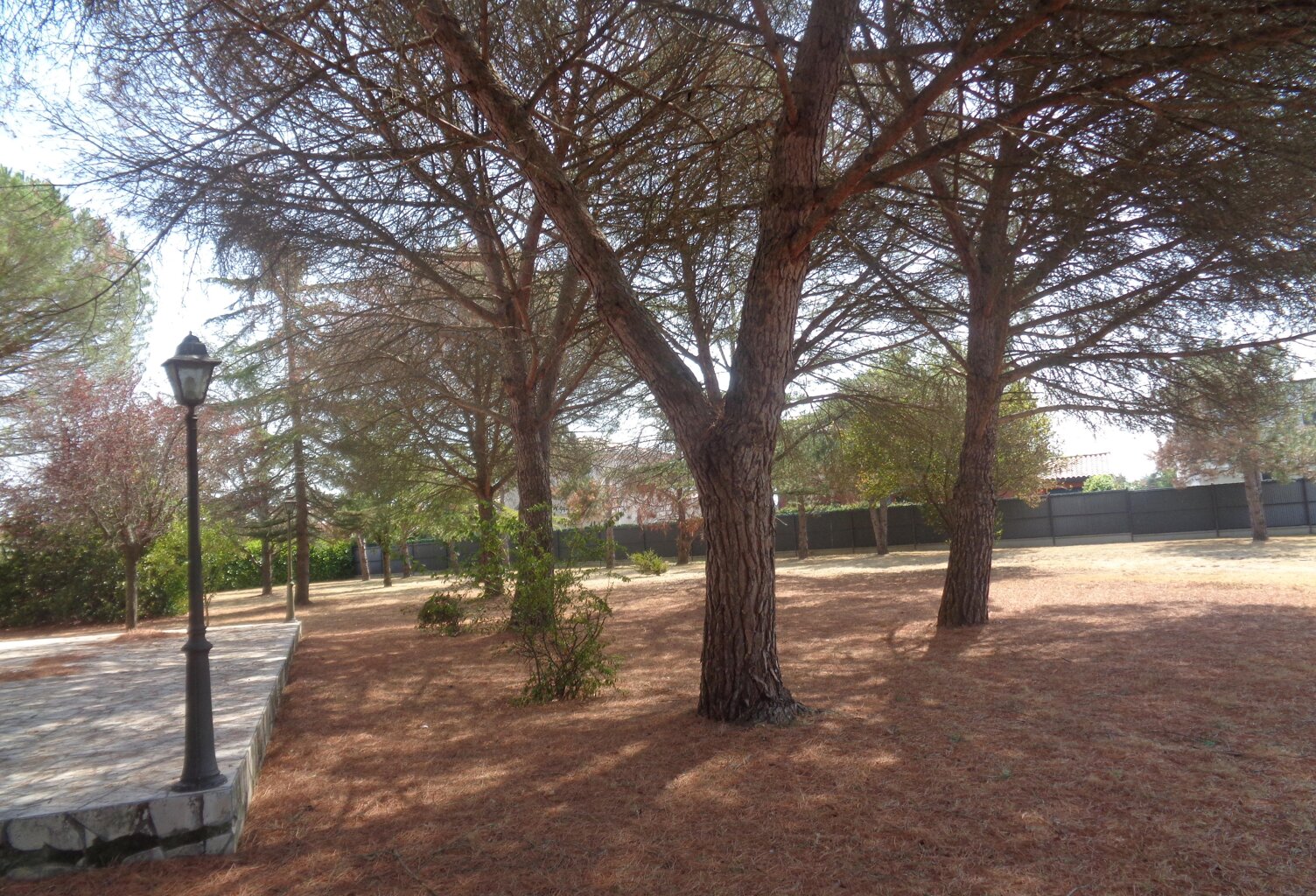 Vente maison 6 pièces 251 m² Pins-Justaret (31860) — photo 1