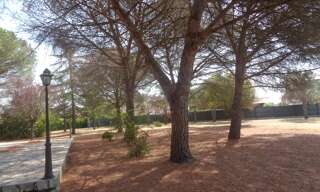 Maison 6 Pièces 251 m² à vendre à Pins-Justaret (31860)