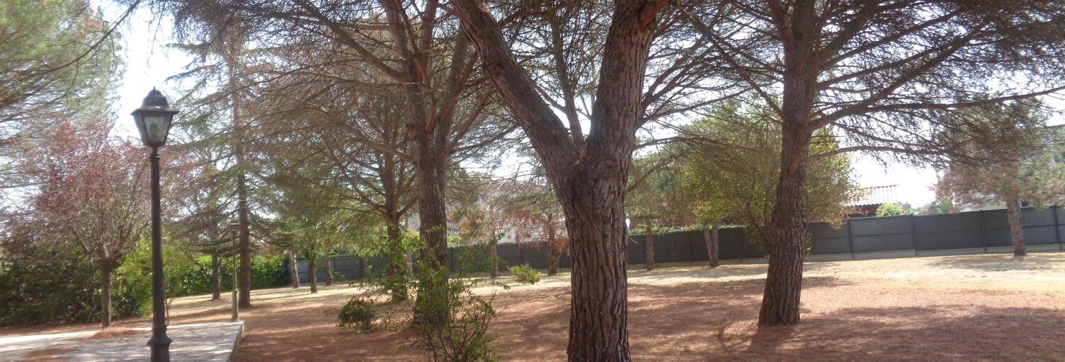 Maison 6 Pièces 251 m² à vendre à Pins-Justaret (31860)