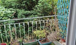 Maison 4 Pièces 108 m² à vendre à Le Bouscat (33110)