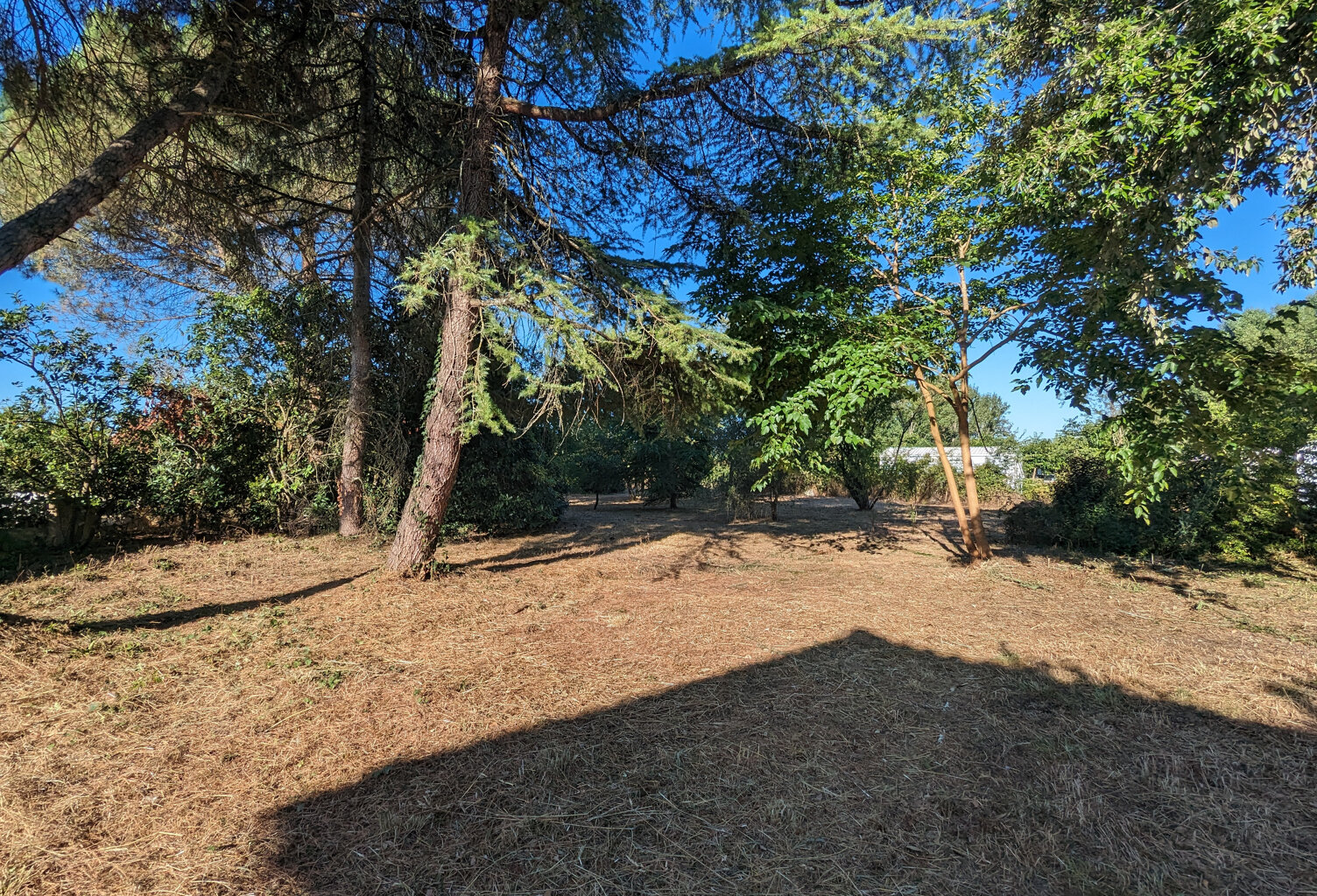 Vente terrain   Rivières (81600) — photo 1