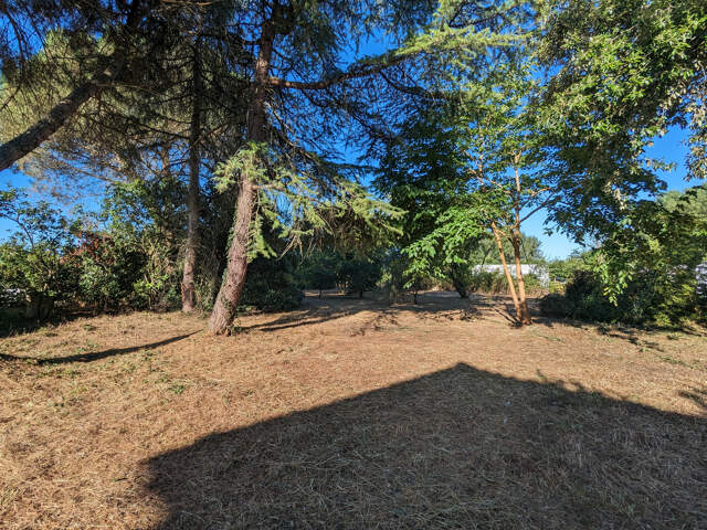 Terrain à Rivières — photo du bien