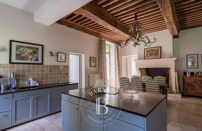 Montmerle-sur-Saône - Château - 8 chambres - Piscine - Tennis — photo 3