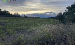 Terrain  11000 m² à vendre à Laurens (34480)