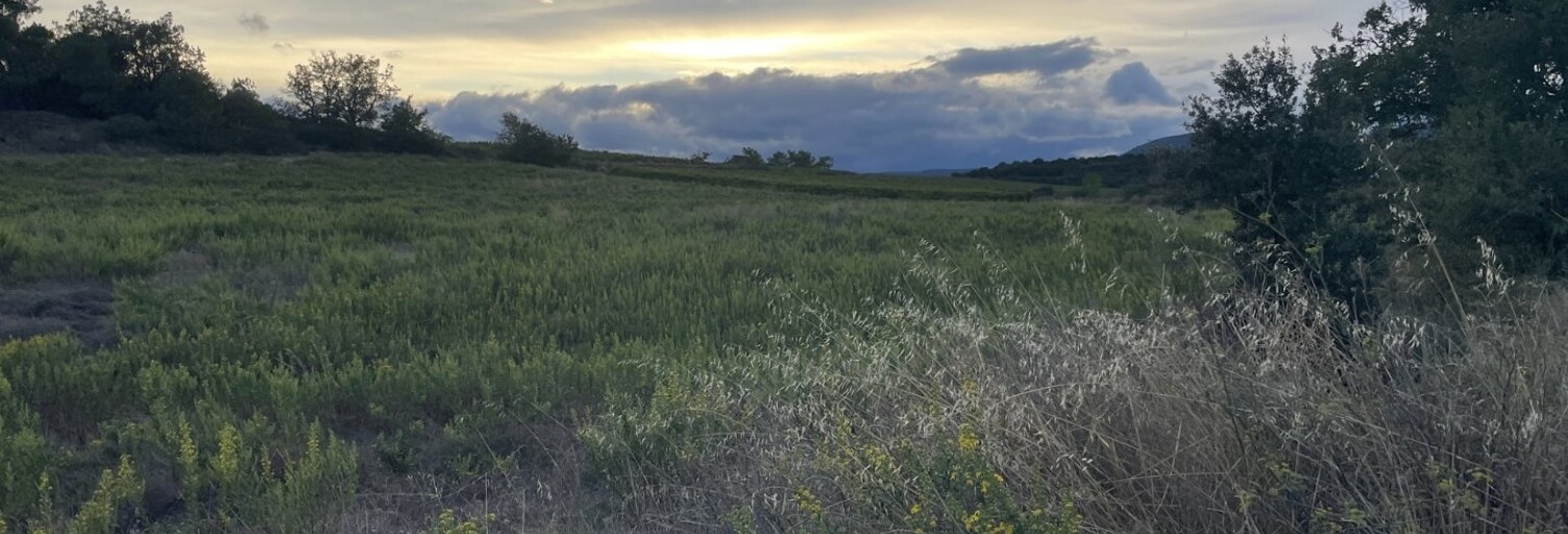 Terrain  11000 m² à vendre à Laurens (34480)