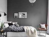 Maison plain-pied 2 chambres garage — photo 4