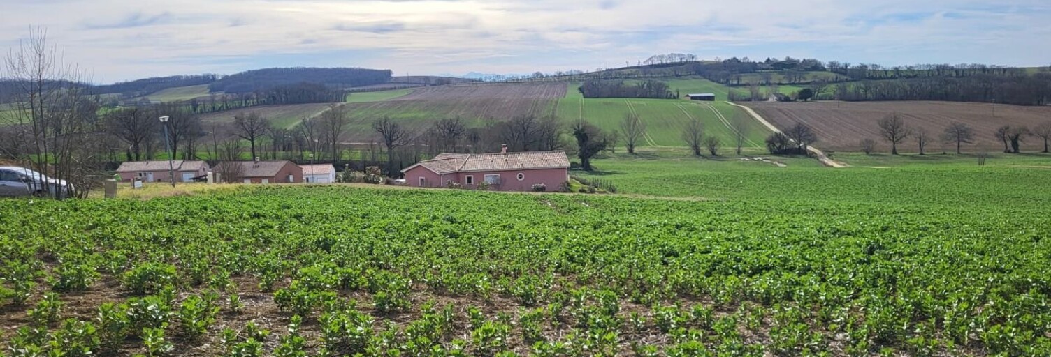 Terrain  1148 m² à vendre à Puycasquier (32120)