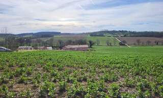 Terrain  1148 m² à vendre à Puycasquier (32120)