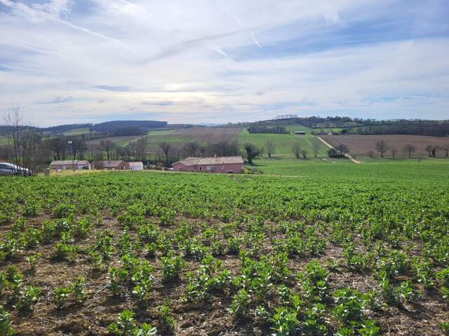 Terrain constructible — photo du bien