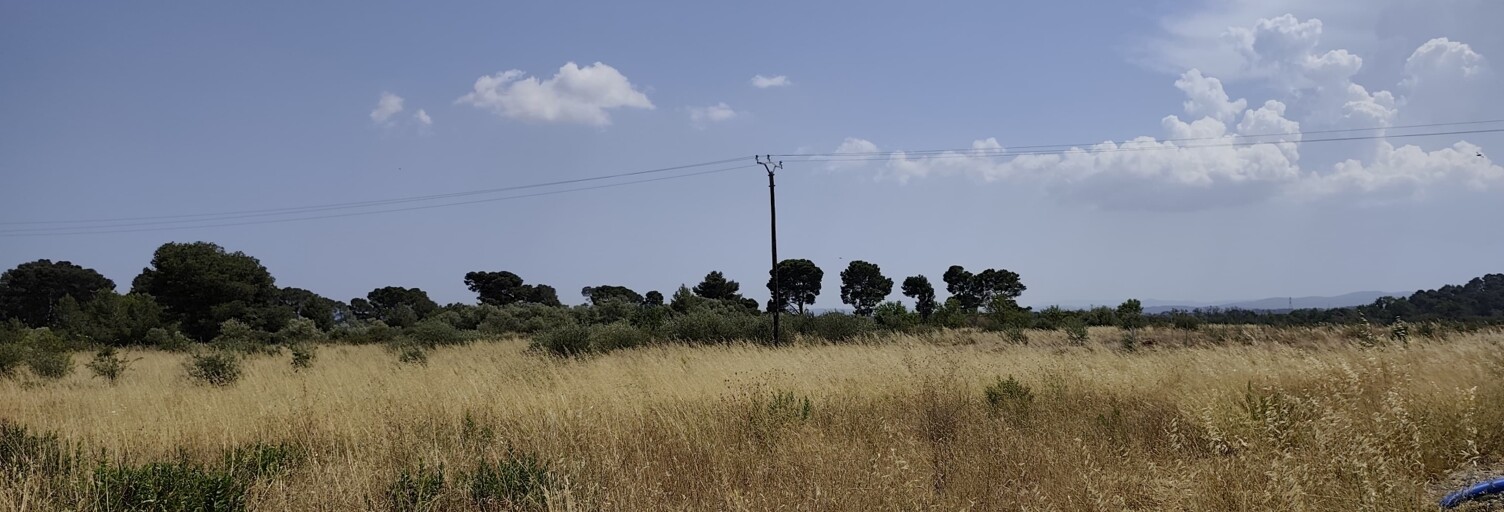 Terrain  829 m² à vendre à Roubia (11200)