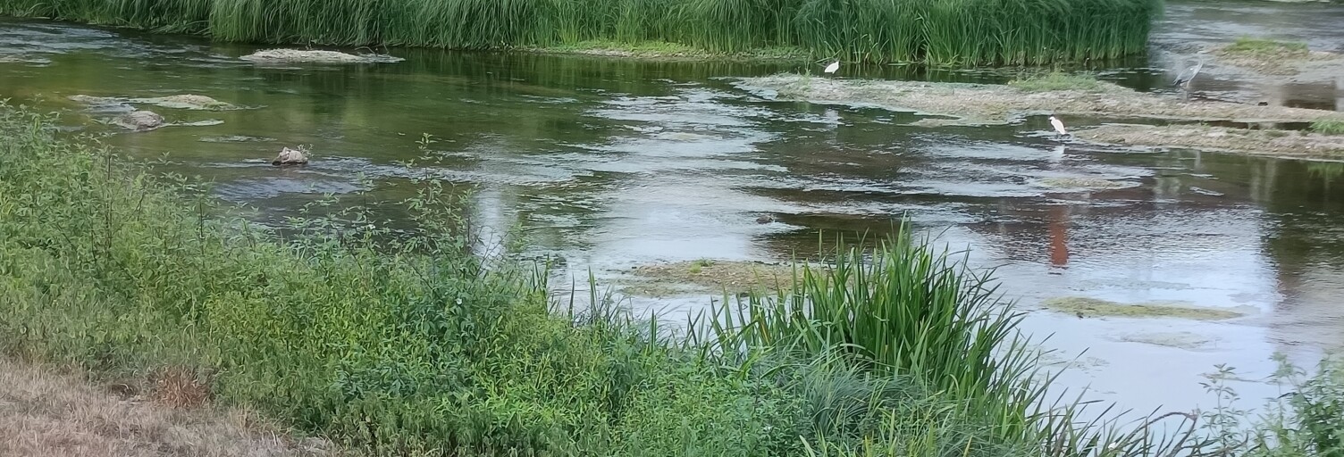 Maison 3 Pièces 135 m² à vendre à Châteauneuf-sur-Cher (18190)