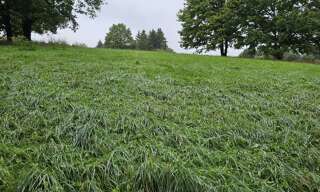 Terrain  5931 m² à vendre à Villeneuve-sur-Yonne (89500)