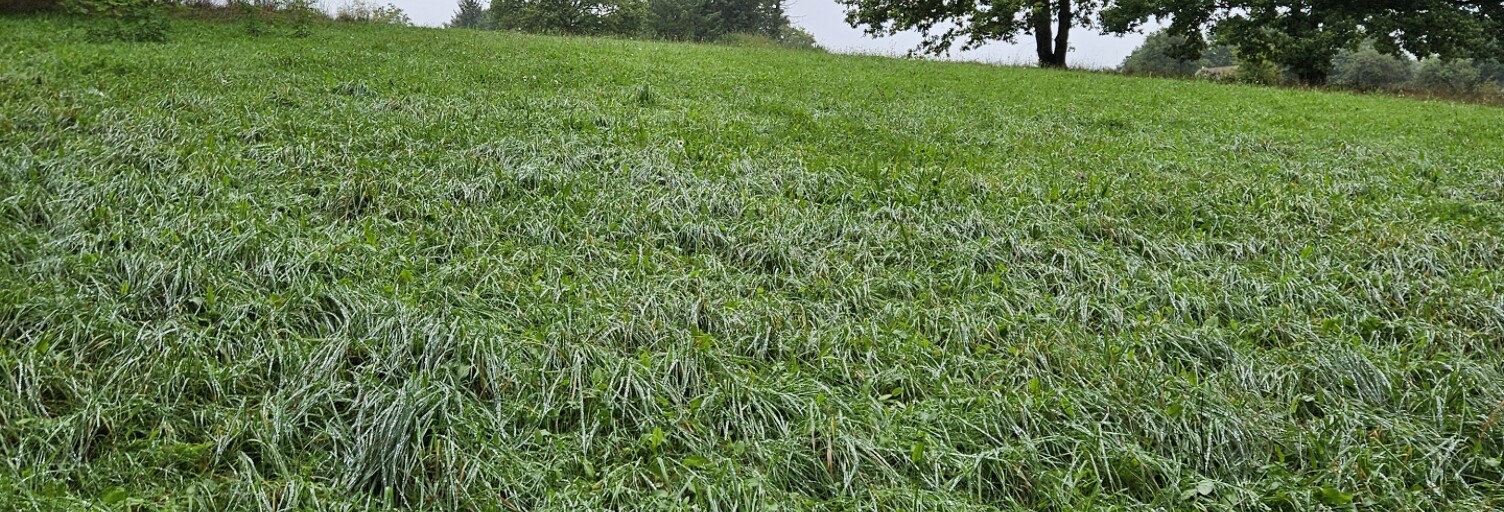 Terrain  5931 m² à vendre à Villeneuve-sur-Yonne (89500)