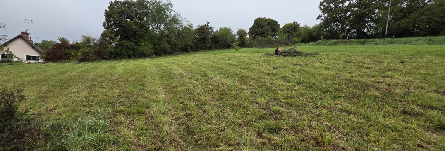 Terrain  2619 m² à vendre à Andryes (89480)