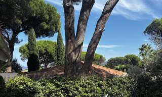 Maison 2 Pièces 52 m² à vendre à Gassin (83580)