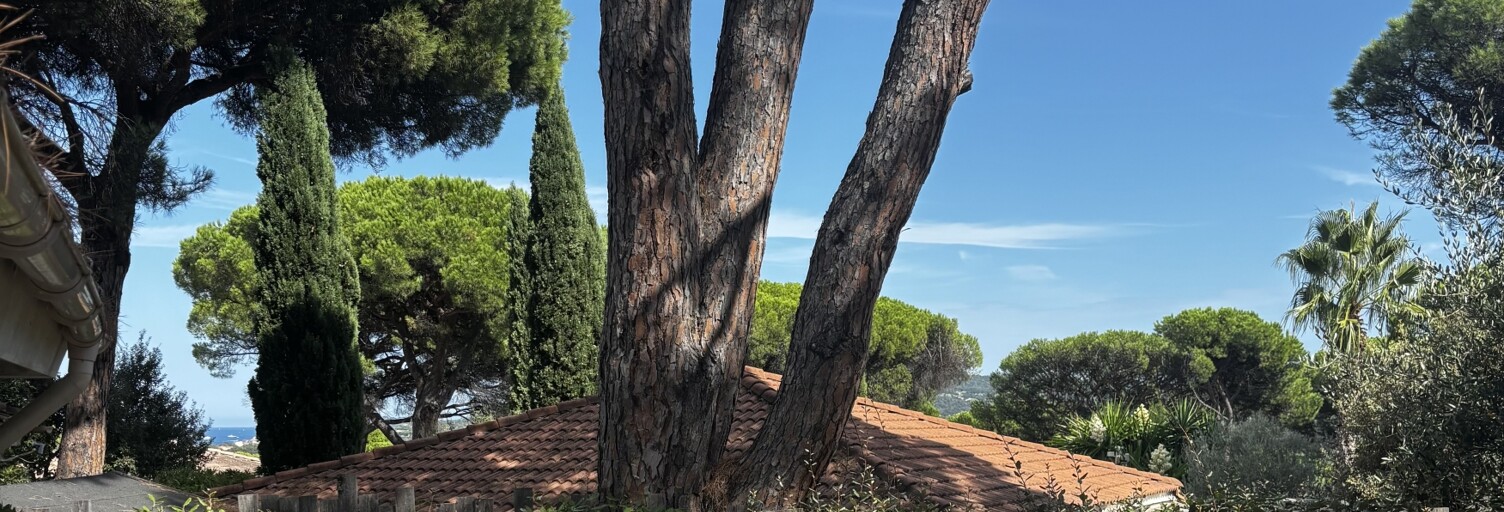 Maison 2 Pièces 52 m² à vendre à Gassin (83580)