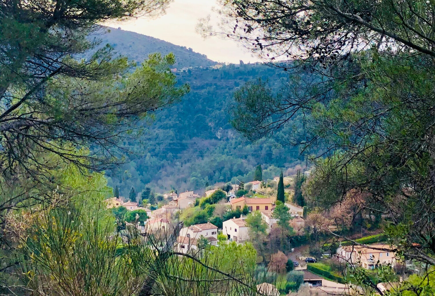 TOURRETTE LEVENS, TERRAIN CONSTRUCTIBLE DE 2378M2 EXPO OUEST — photo 1