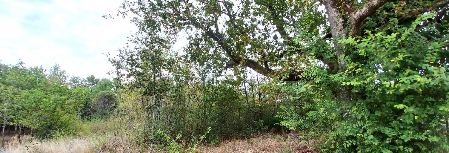 Terrain  4603 m² à vendre à Bon-Encontre (47240)