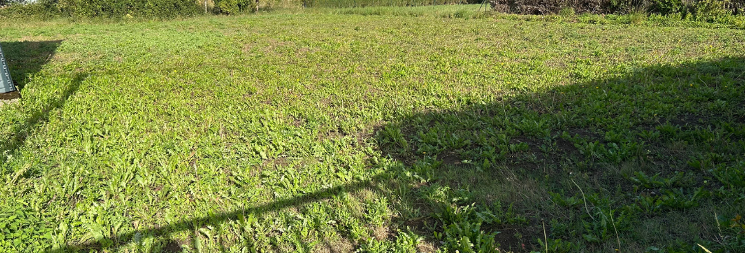 Terrain  1000 m² à vendre à Saint-Omer (62500)