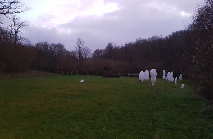 Corps de ferme à rénover sur un terrain de 13.000 m² — photo 5