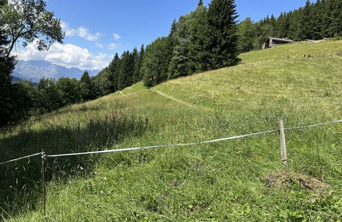 Authentique ferme d'alpage Saint-Gervais — photo 4