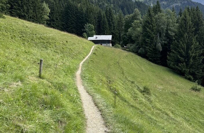Authentique ferme d'alpage Saint-Gervais — photo 5