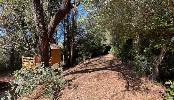 Terrain  à vendre Camps-la-Source 83170