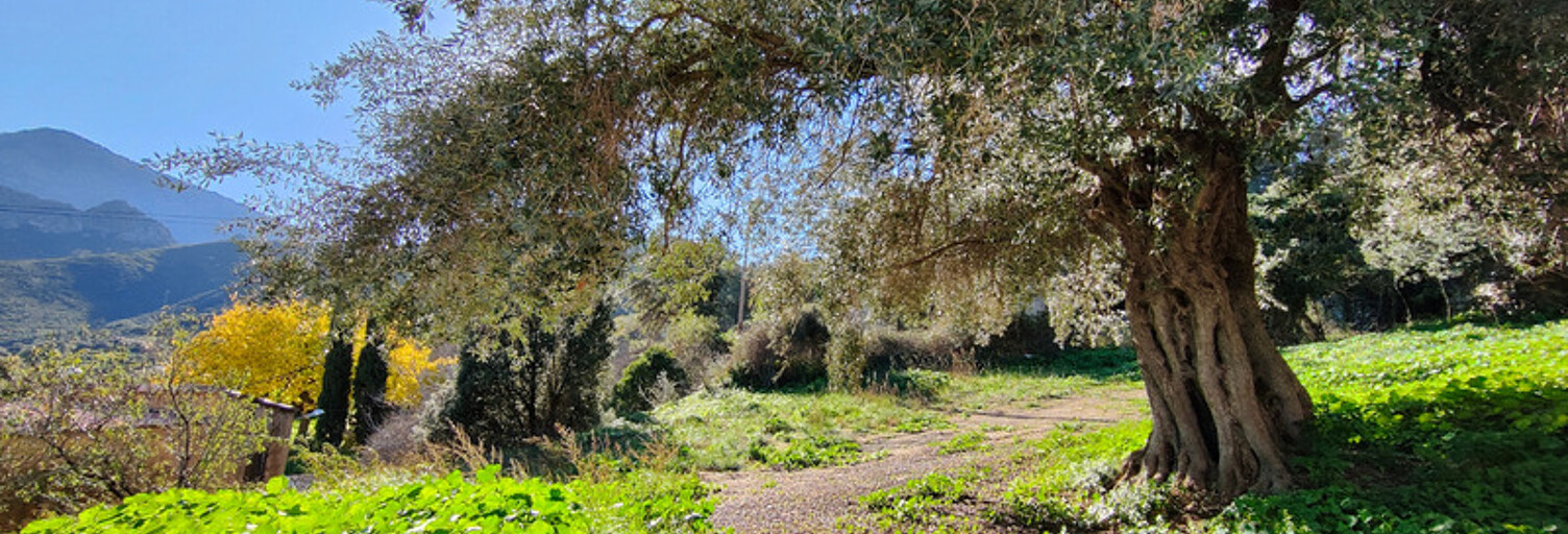 Terrain  567 m² à vendre à Moncale (20214)