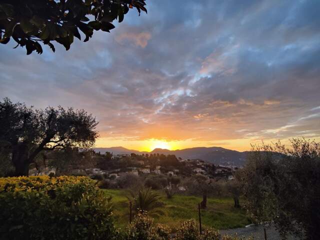 Vente Terrain de 3337m² - 06100 Nice — photo du bien