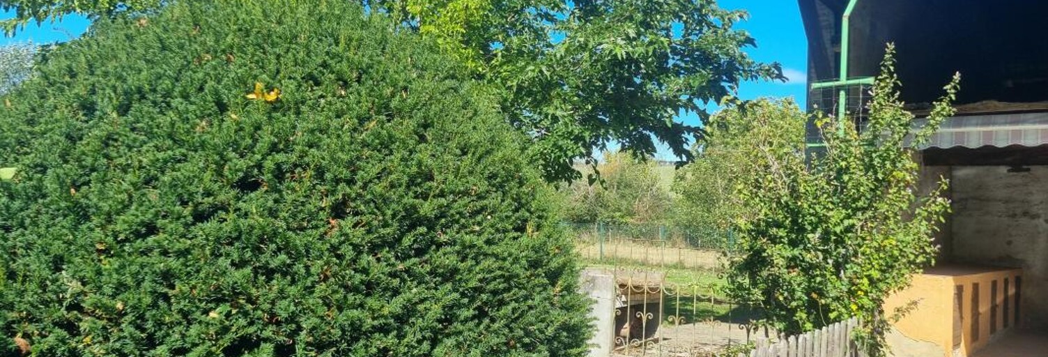 Maison 4 Pièces 113 m² à vendre à Châtonnay (38440)