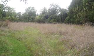 Terrain  2800 m² à vendre à Chavanges (10330)