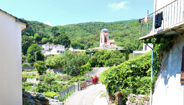 Appartement 3 pièces  à louer Bastia 20200