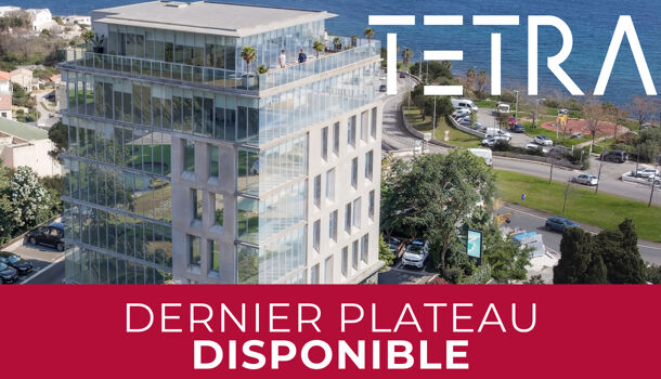 Bureau  à vendre Bastia 20200