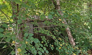 Garage  70 m² à vendre à Auriac-sur-Vendinelle (31460)