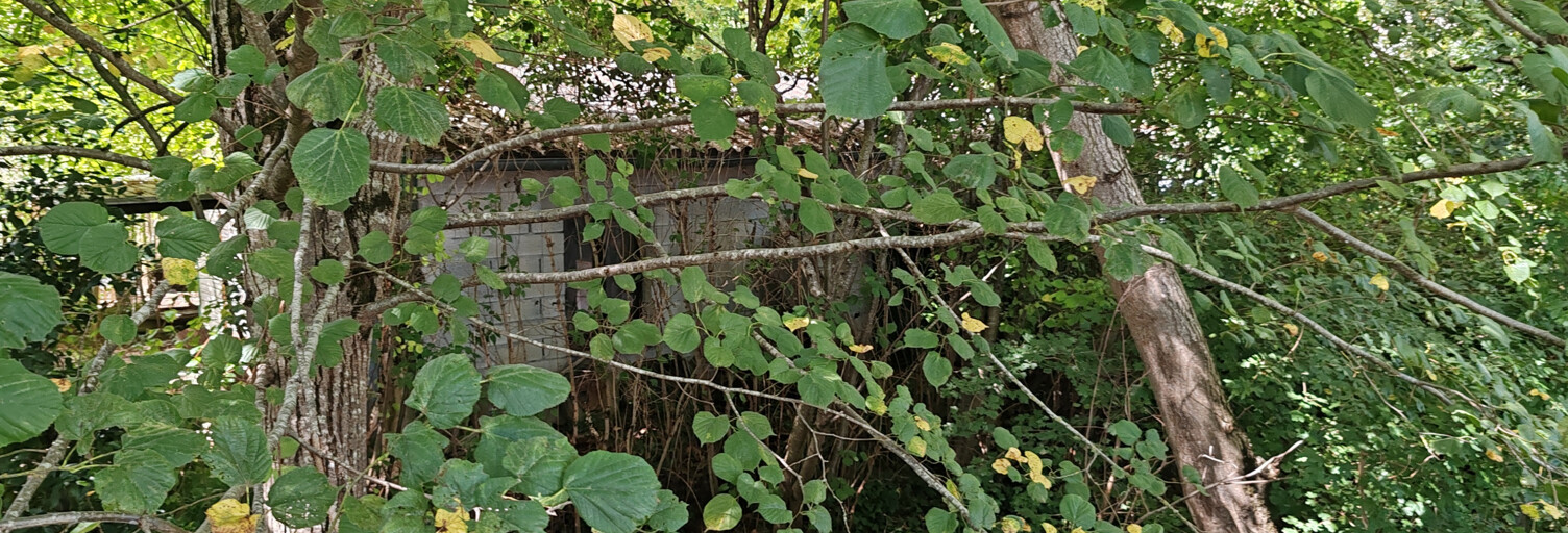 Garage  70 m² à vendre à Auriac-sur-Vendinelle (31460)