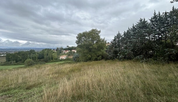 Terrain  à vendre Albi 81000